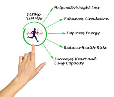  Kardiyo egzersiz diyagramı