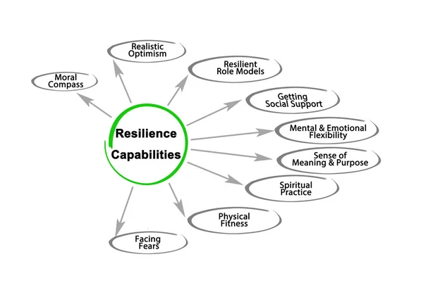 Diagrama de las capacidades de resiliencia — Foto de Stock