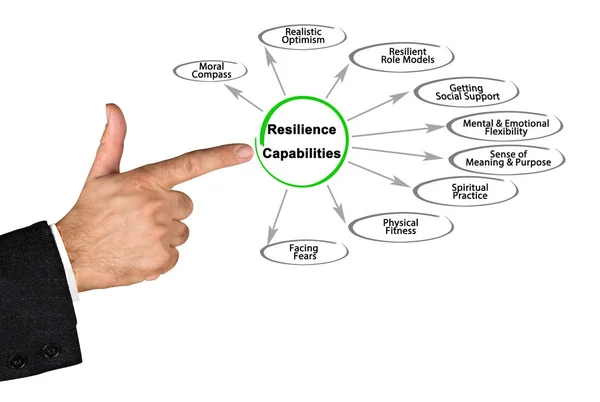 Diagramm der Resilienzfähigkeiten — Stockfoto