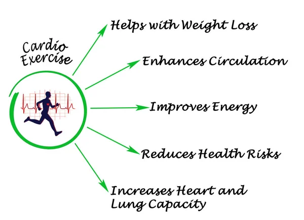 Diagrama de Cardio Exercício — Fotografia de Stock