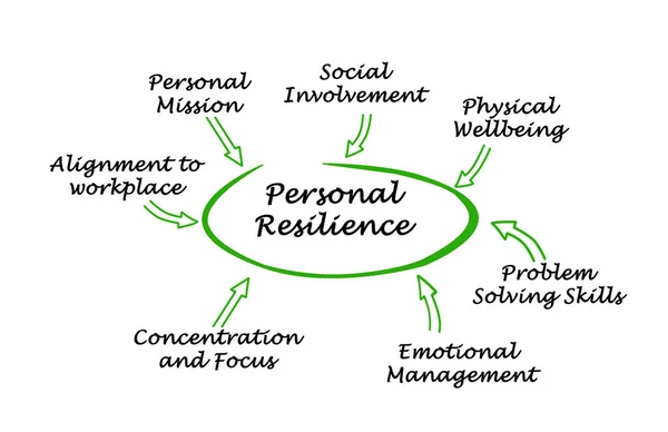 Diagram of  Personal Resilience — Stock Photo, Image