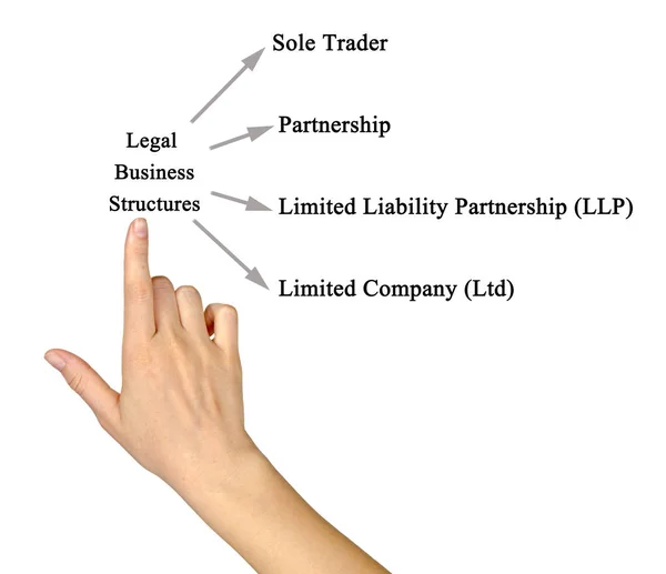 提出法律业务结构的关系的图 — 图库照片