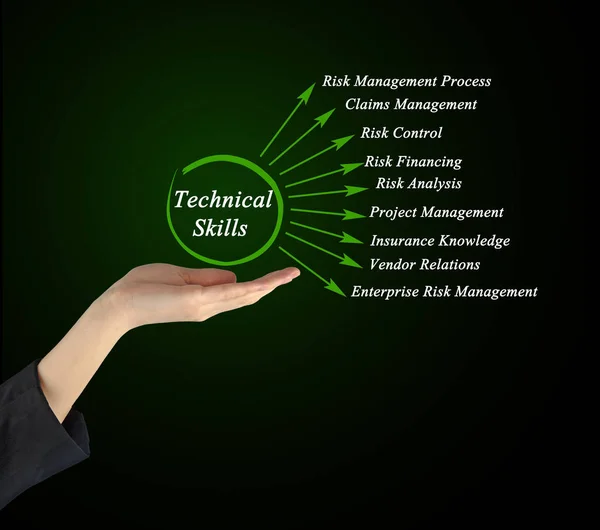 Diagrama de presentación de las habilidades técnicas —  Fotos de Stock
