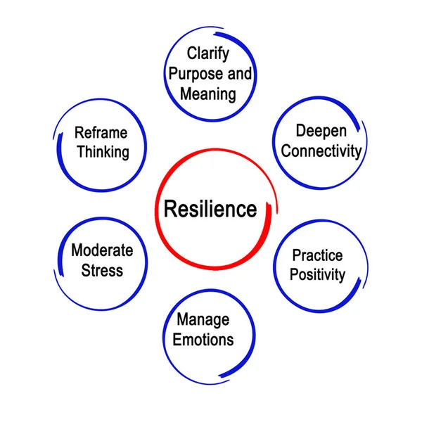 Presentación del Diagrama de Resiliencia —  Fotos de Stock