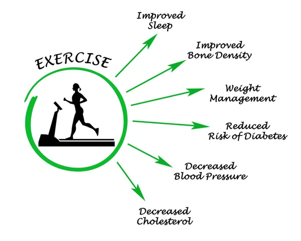 Diagrama de utilidade do exercício — Fotografia de Stock
