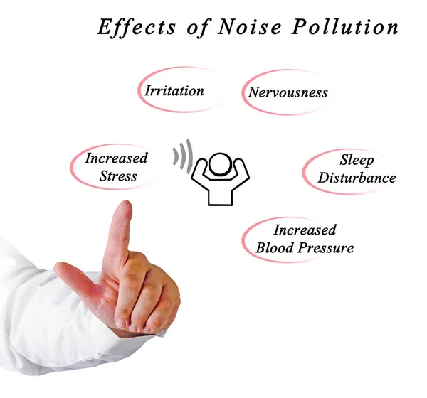 Effects of Noise Pollution