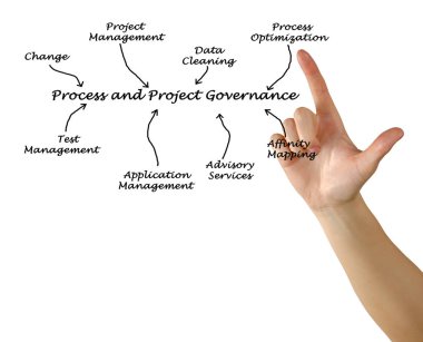 Süreç ve proje yönetim