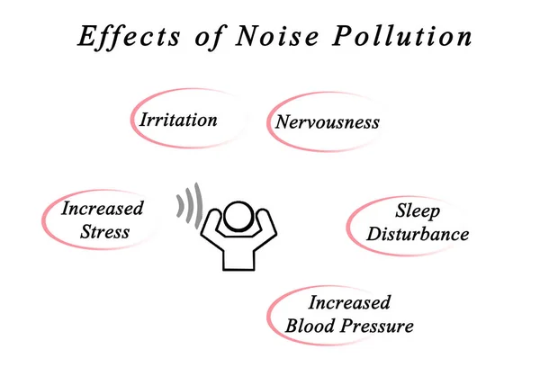 Effects of Noise Pollution