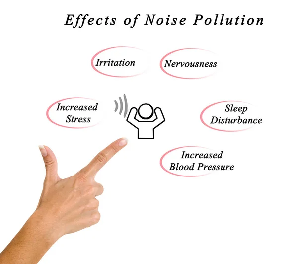 Effects of Noise Pollution