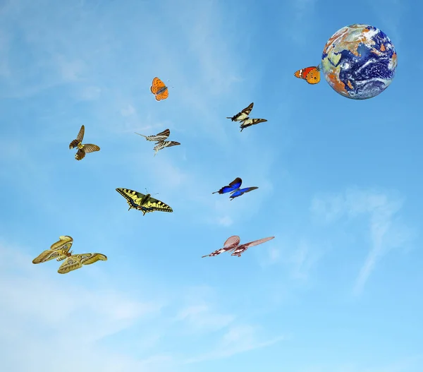 Butterfly flying to planet Earth.Elements of this image furnishe — Stock Photo, Image