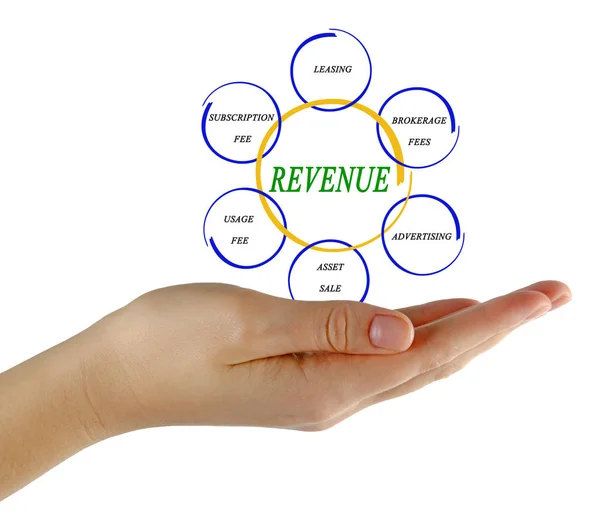 Presenting diagram of Revenue — Stock Photo, Image
