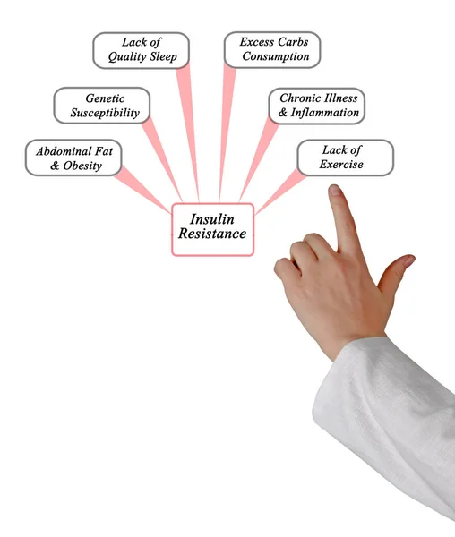 インスリン抵抗性の原因 — ストック写真