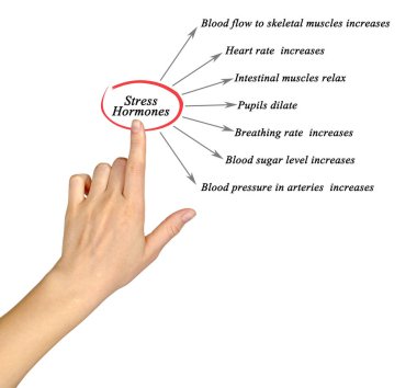Stres hormonları sunan kadın