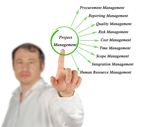 Diagram of  Project Management — Stock Photo, Image