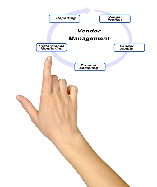 Diagramme de la gestion des fournisseurs — Photo