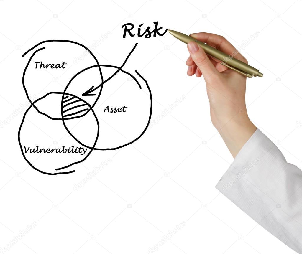 Woman presenting Definition of risk