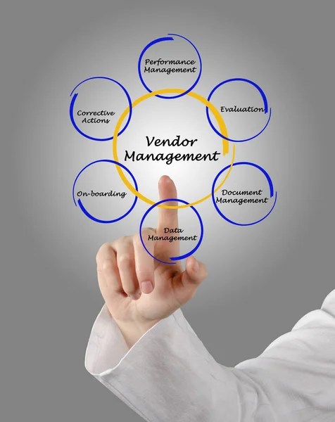Diagrama de presentación de la gestión de proveedores —  Fotos de Stock