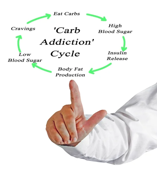 Diagrama de presentación del ciclo 'Adicción a los carbohidratos' — Foto de Stock