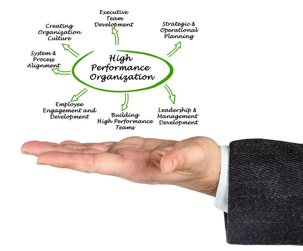 Presentatie van Diagram van High Performance organisatie — Stockfoto