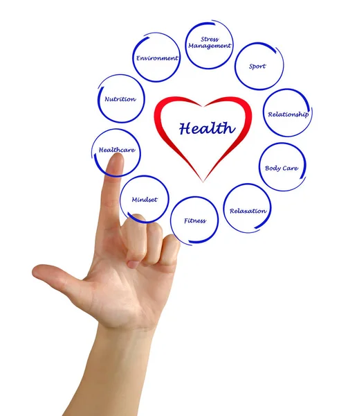 Presenting Diagram of health — Stock Photo, Image