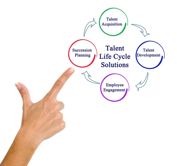 Soluciones para el ciclo de vida del talento — Foto de Stock