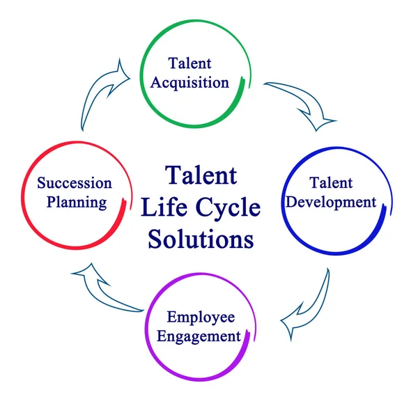 Talent Life Cycle Solutions — Stock Photo, Image