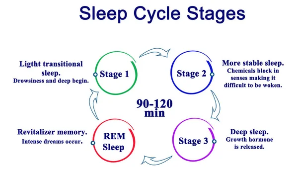 Diagramme des étapes du cycle du sommeil — Photo