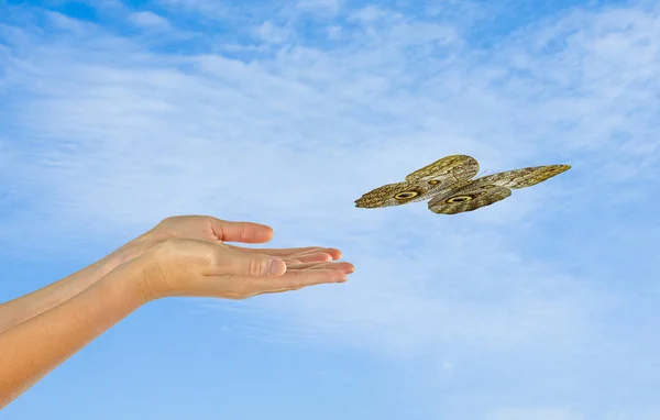 Butterfly flying from hand — Stock Photo, Image