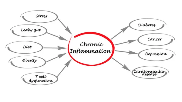 Presenting Diagram of  Chronic Inflammation — Stock Photo, Image