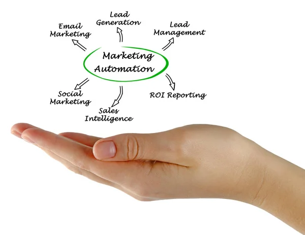 Diagrama de automatización de marketing —  Fotos de Stock