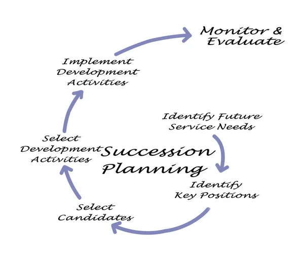 Steps in Succession Planning Process