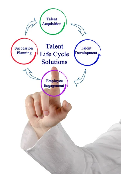 Presenting Talent Life Cycle Solutions — Stock Photo, Image