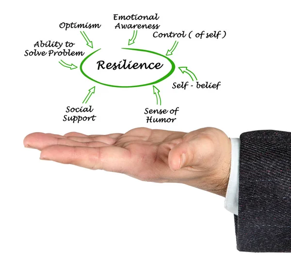 什么有助于 resilence — 图库照片