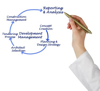  kadın sunan geliştirme yönetimi