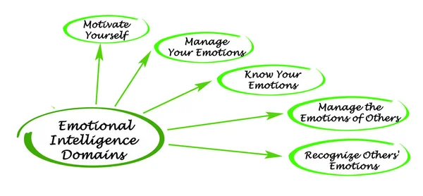 Important Emotional Intelligence Domains — Stock Photo, Image