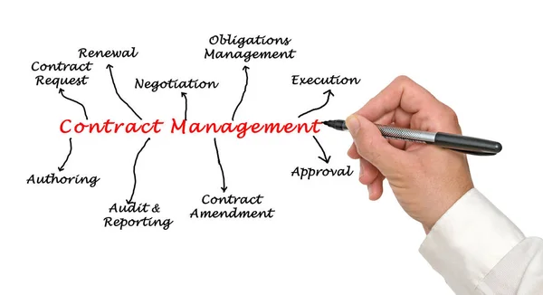 Diagram Contract Management — Stock Photo, Image