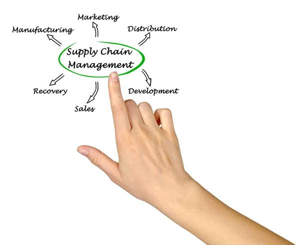 Man presenting Supply Chain Management — Stock Photo, Image