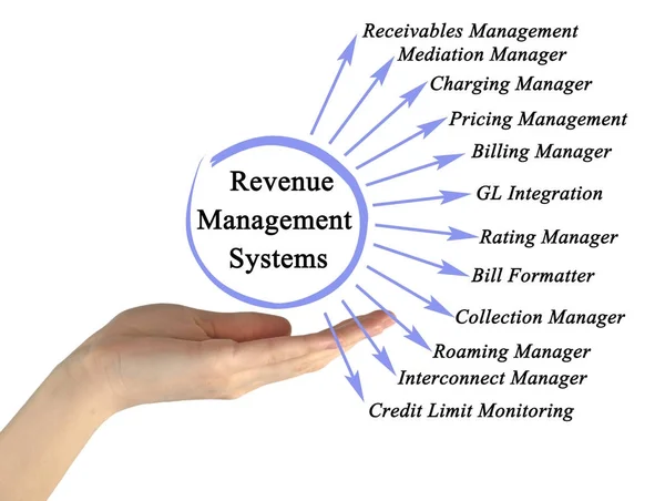 Vrouw presentatie van systemen voor het beheer van inkomsten — Stockfoto