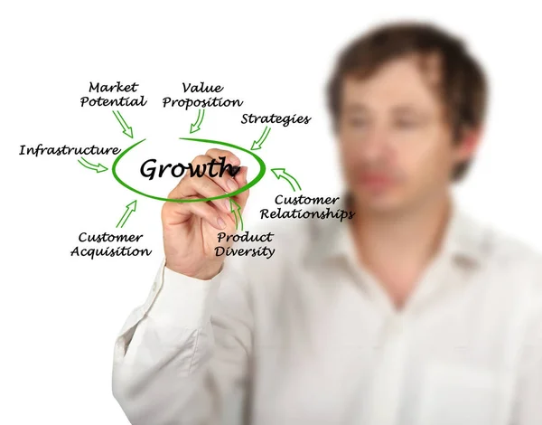 Contribuyentes importantes al crecimiento — Foto de Stock