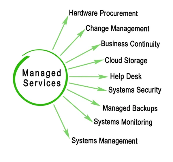 Woman presenting IT Managed Services