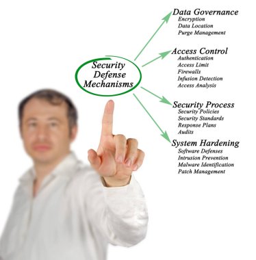 Güvenlik savunma mekanizmaları sunma