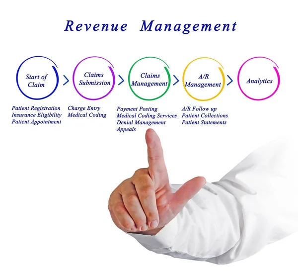 Man presenterar Revenue Management Process — Stockfoto