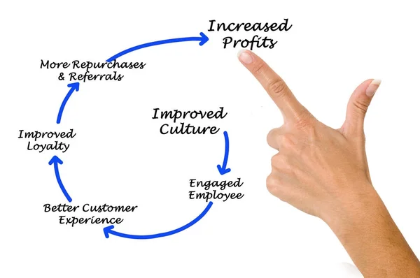 Improved Culture to increased profit — Stock Photo, Image