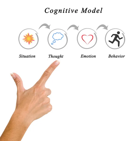 Kognitív modell összetevői — Stock Fotó