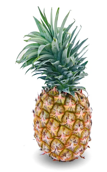 Ananas isolerad på vit bakgrund — Stockfoto