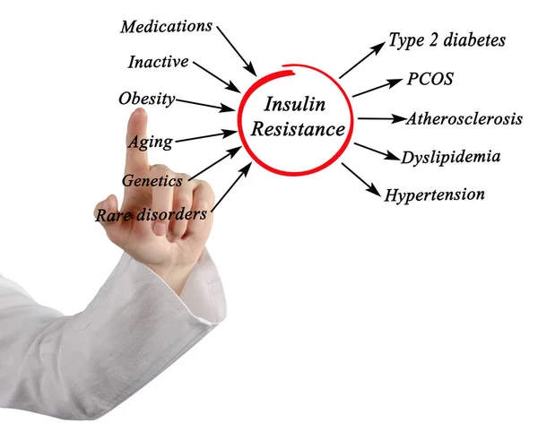 Causas Resistencia Insulina — Foto de Stock