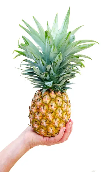Close up van de presentatie van rijpe ananas — Stockfoto