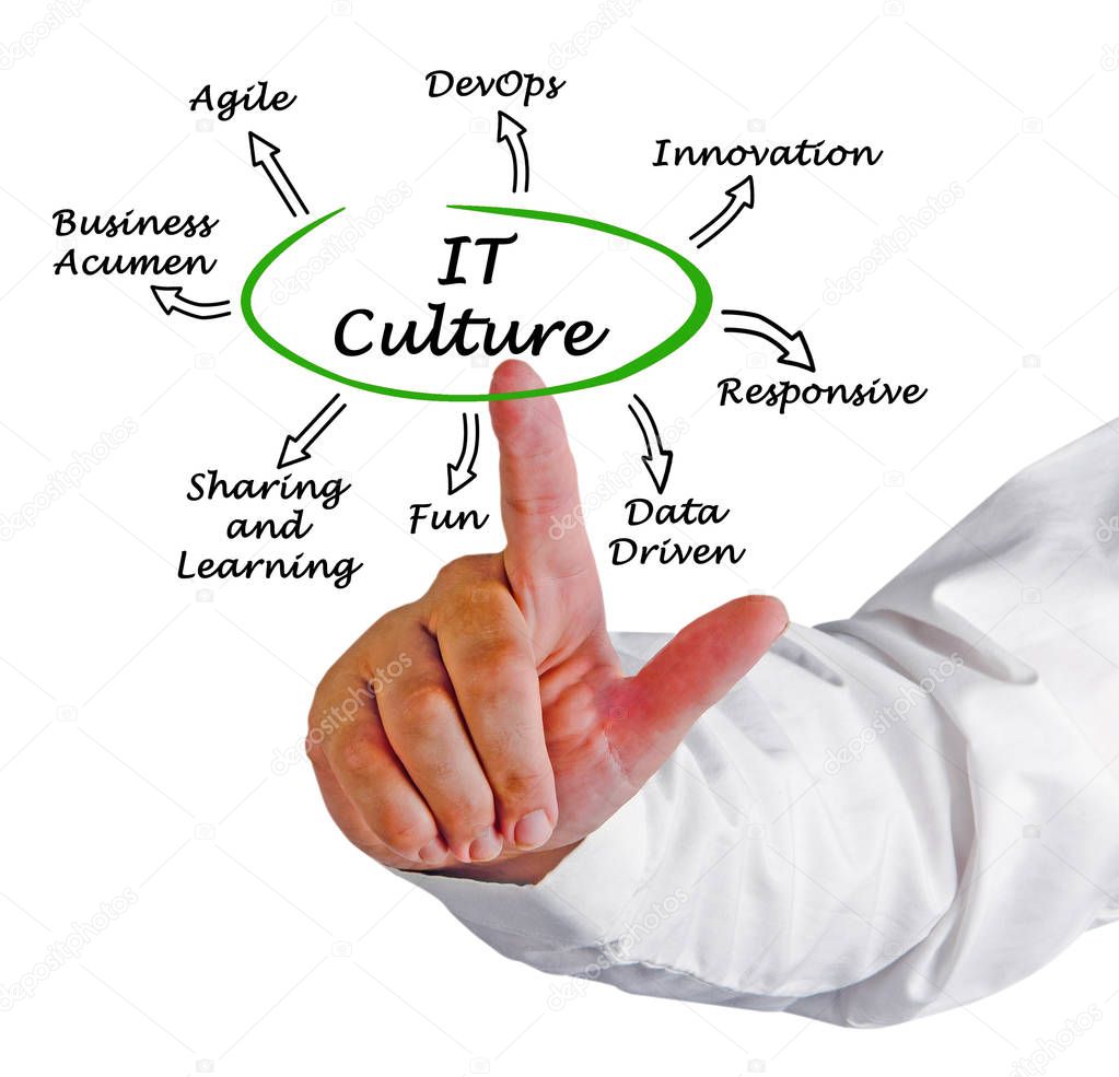 Characteristics of IT Culture