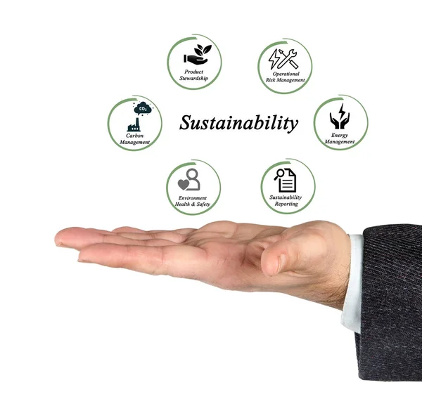 Man Presenterar Olika Sätt Att Hållbarhet — Stockfoto