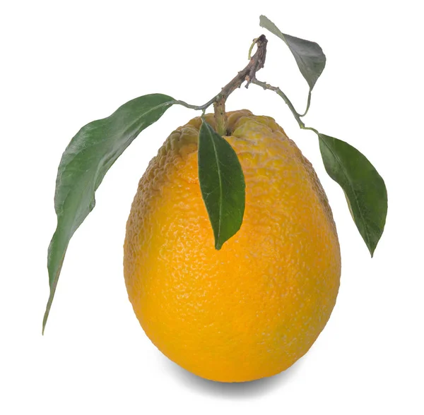 Закрыть спелый апельсин — стоковое фото